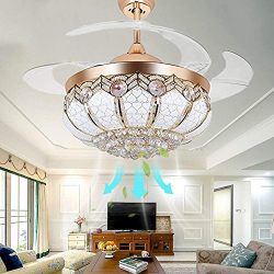 TiptonLight Modern Crystal Chandelier Ceiling Fan Lamp