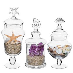 MyGift Set of 3 Seashell Handle Clear Glass Apothecary Jars