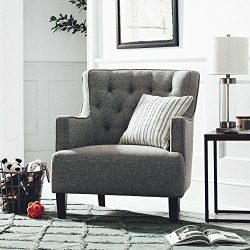 Stone & Beam Decatur Modern Tufted Accent Chair, 31"W, Silver