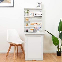 Wall Mounted Table Fold Out Multi-Function Laptop Desk