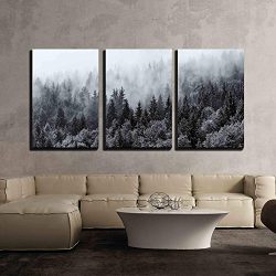 3 Piece Canvas Wall Art - Misty Forests of Evergreen
