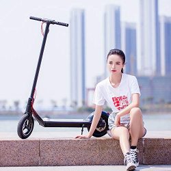 oldable E-Scooter with 10.5'' Vacuum Motor Tire