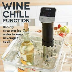 Dash Chef Series Stainless Steel Sous Vide Immersion Circulator