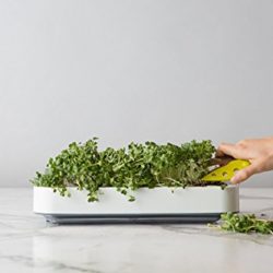 Chef'n Microgreens Micro Greens Grower, One Size, White