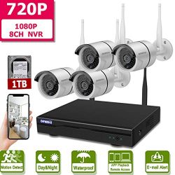 Wireless 8-Channel Security Camera System