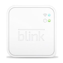 Additional Blink Sync Module for Existing Blink
