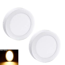 2Pack LED Surface Mounted Panel Ceiling Light Fixture