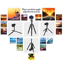 Portable Tripod with Ball Head Heavy Duty Lightweight