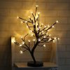 1 Pack Plum Blossom Desk Top Bonsai Tree