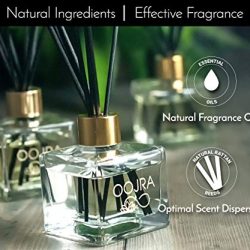 Oojra 3 Essential Oil Reed Diffusers Aromatherapy