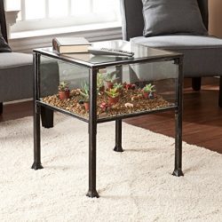 Terrarium Display Side End Table, Black with Silver