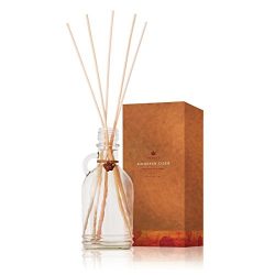Thymes - Fragrant Simmered Cider Reed Diffuser