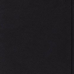 ESV Verse-by-Verse Reference Bible (Black)