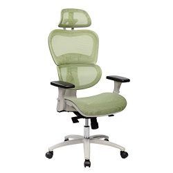 Techni Mobili Executive Office Chair with Neck Support