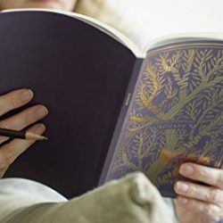 ESV Illuminated Scripture Journal: New Testament Set