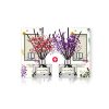 Cocod'or Preserved Flower Scented Lovely