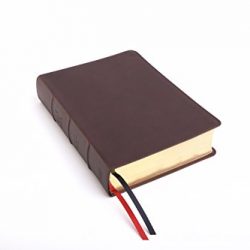 CSB Study Bible, Brown Genuine Leather, Indexed