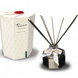 Home Diffuser with Reed Sticks (Diffuseur d'ambiance)