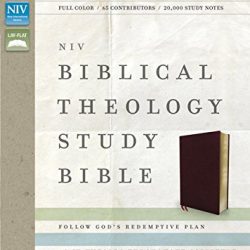 NIV, Biblical Theology Study Bible, Bonded Leather