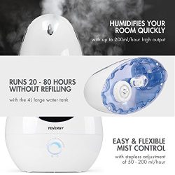 Tenergy Pluvi Ultrasonic Cool Mist Humidifier with Auto Shut-Off Protections