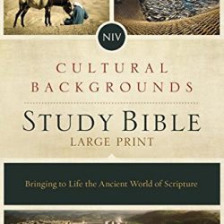 NIV, Cultural Backgrounds Study Bible, Large Print