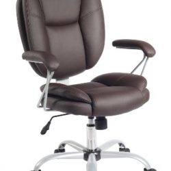 Plush Task Office Chair With Techniflex Upholstery