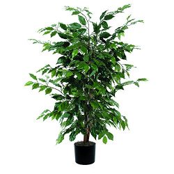Vickerman 4' Artificial Ficus Bush set in Black Pot