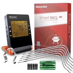 Wireless Meat Thermometers for Grill Smoker