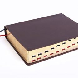 CSB Study Bible, Brown Genuine Leather, Indexed