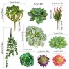 Wall of Dragon 15pcs/Set DIY Artificial Succulents Bonsai