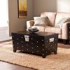 Cocktail Table Storage Trunk, Black and Satin Silver Finish