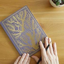 ESV Illuminated Scripture Journal: New Testament Set
