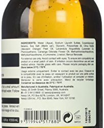 Aesop Amazing Face Cleanser, 6.8 Ounce