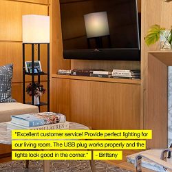 Brightech Maxwell Charging Edition -LED Shelf Floor Lamp