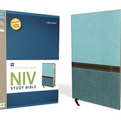 NIV Study Bible, Large Print, Leathersoft, Teal, Red Letter Edition