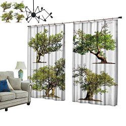 PRUNUS Window Curtain Drape with Hook Tree