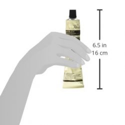Aesop Parsley Seed Cleansing Masque, 2.38 Ounce