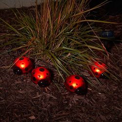Smart Solar Ladybug Solar Red Light Set