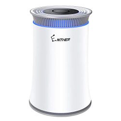 Enther Air Purifier with True HEPA Filter