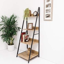 C-Hopetree Ladder Shelf Bookcase Freestanding Plant Stand