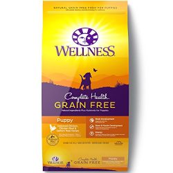 Wellness Complete Health Natural Grain Free Dry Puppy Food