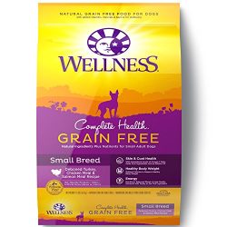 Wellness Complete Health Natural Grain Free Dry Small Breed Dog Food