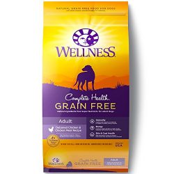 Wellness Complete Health Natural Grain Free Dry Dog Food
