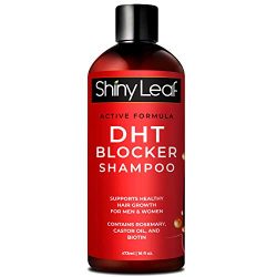 DHT Blocker Shampoo for Hair Loss, for Men & Women, Active Formula