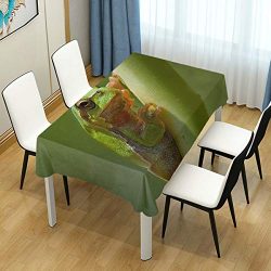 lightly Rectangle Tablecloth,Tree Frog Field Green Washable Polyester Table