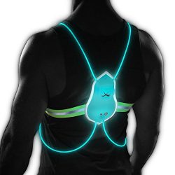 Tracer Visibility Vest (Medium/Large)
