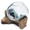 MyGift Small Natural Driftwood & Clear Molten Glass Bowl Plant Terrarium