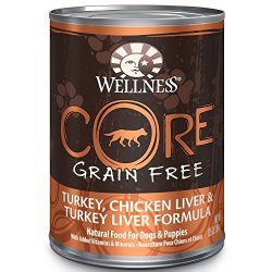 Wellness Core Natural Wet Grain Free Canned Dog Food