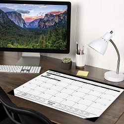AT-A-GLANCE 2020 Desk Calendar, Desk Pad, 24" x 19"