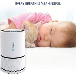 Air Purifier with True HEPA Filter for Allergies and Pets/Smoke/Mold/Germs and Dust